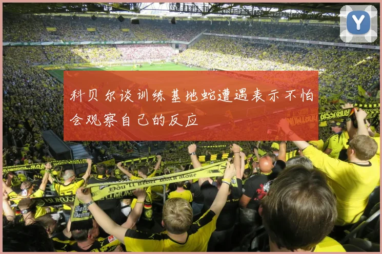 科贝尔谈训练基地蛇遭遇表示不怕会观察自己的反应