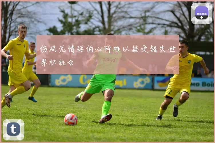 伤病无情廷伯心碎难以接受错失世界杯机会